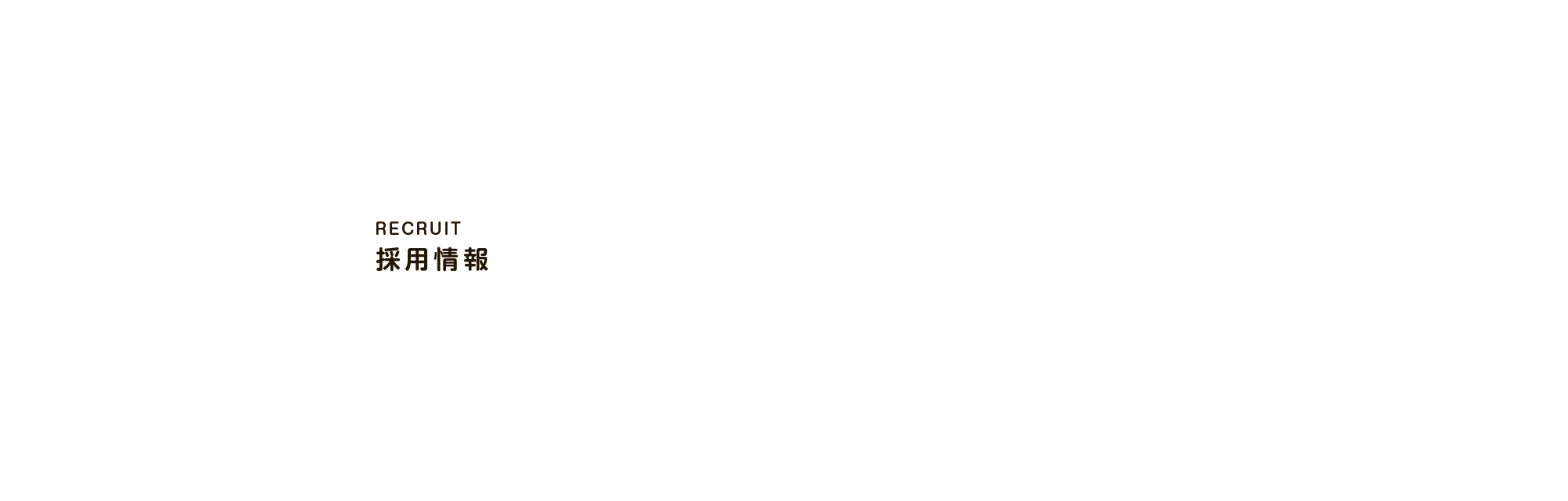 採用情報